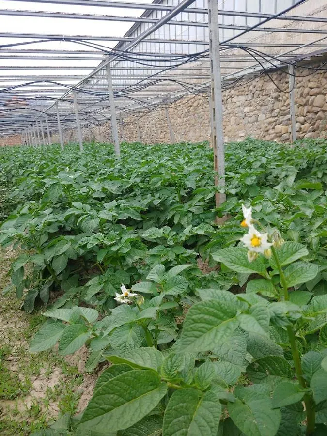 Agriturismo Ca Du Bega Arma di Taggia Appartamento